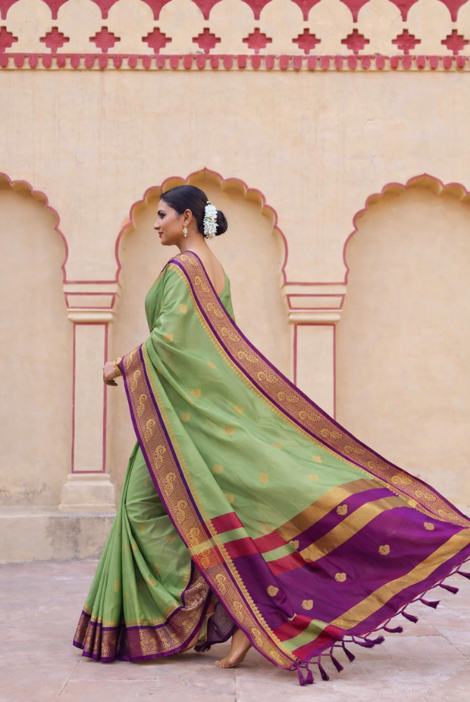 Elegant Sage Green & Purple Cotton Silk Mayurika Peacock Saree